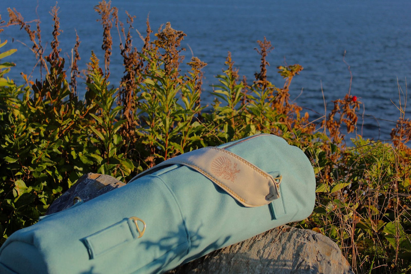 Dumuzi — Robin image 5