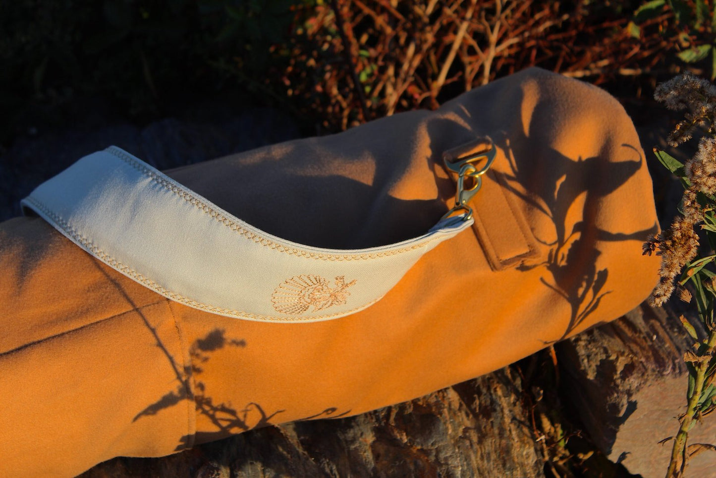 Dumuzi — Camel image 6