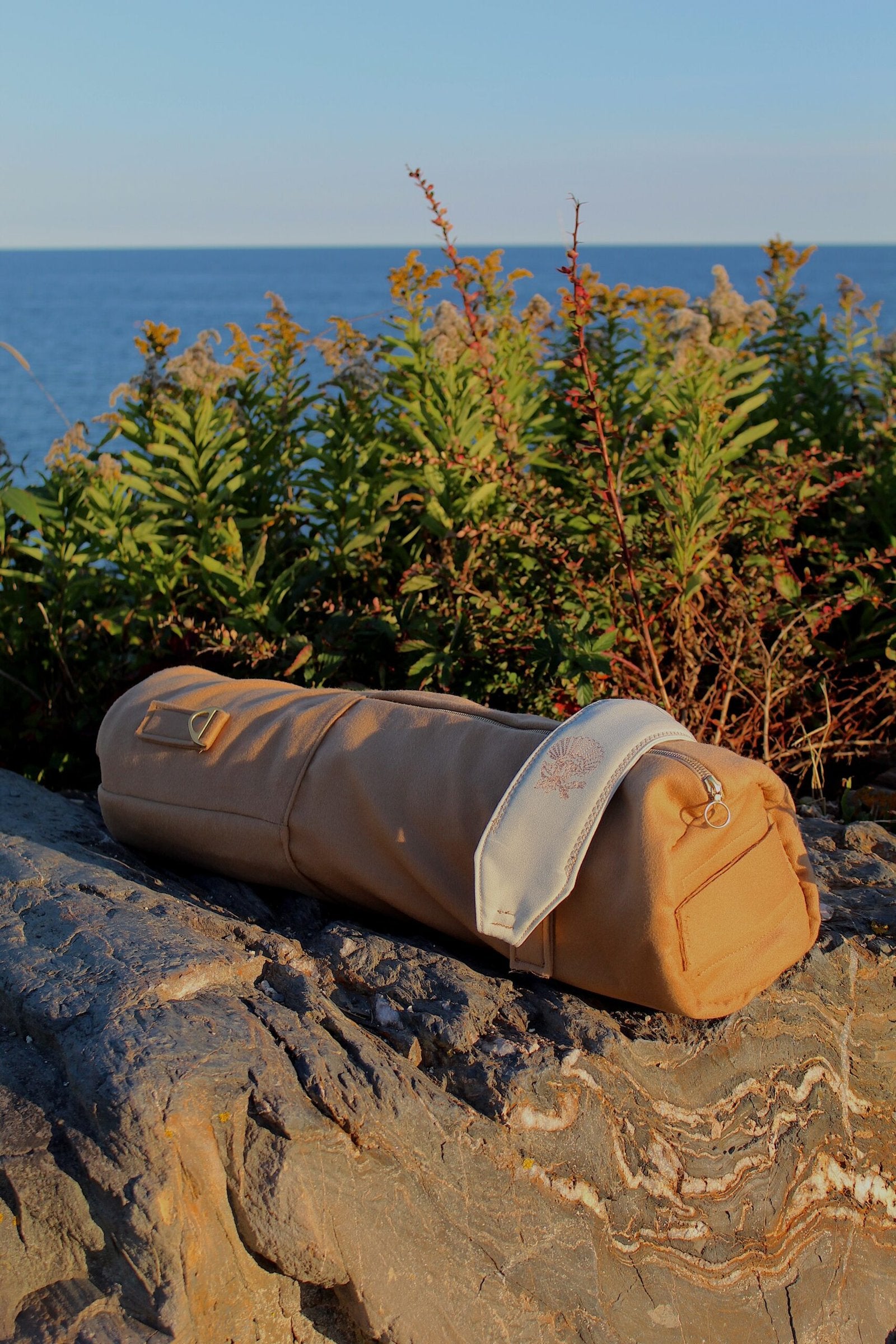 Dumuzi — Camel image 8