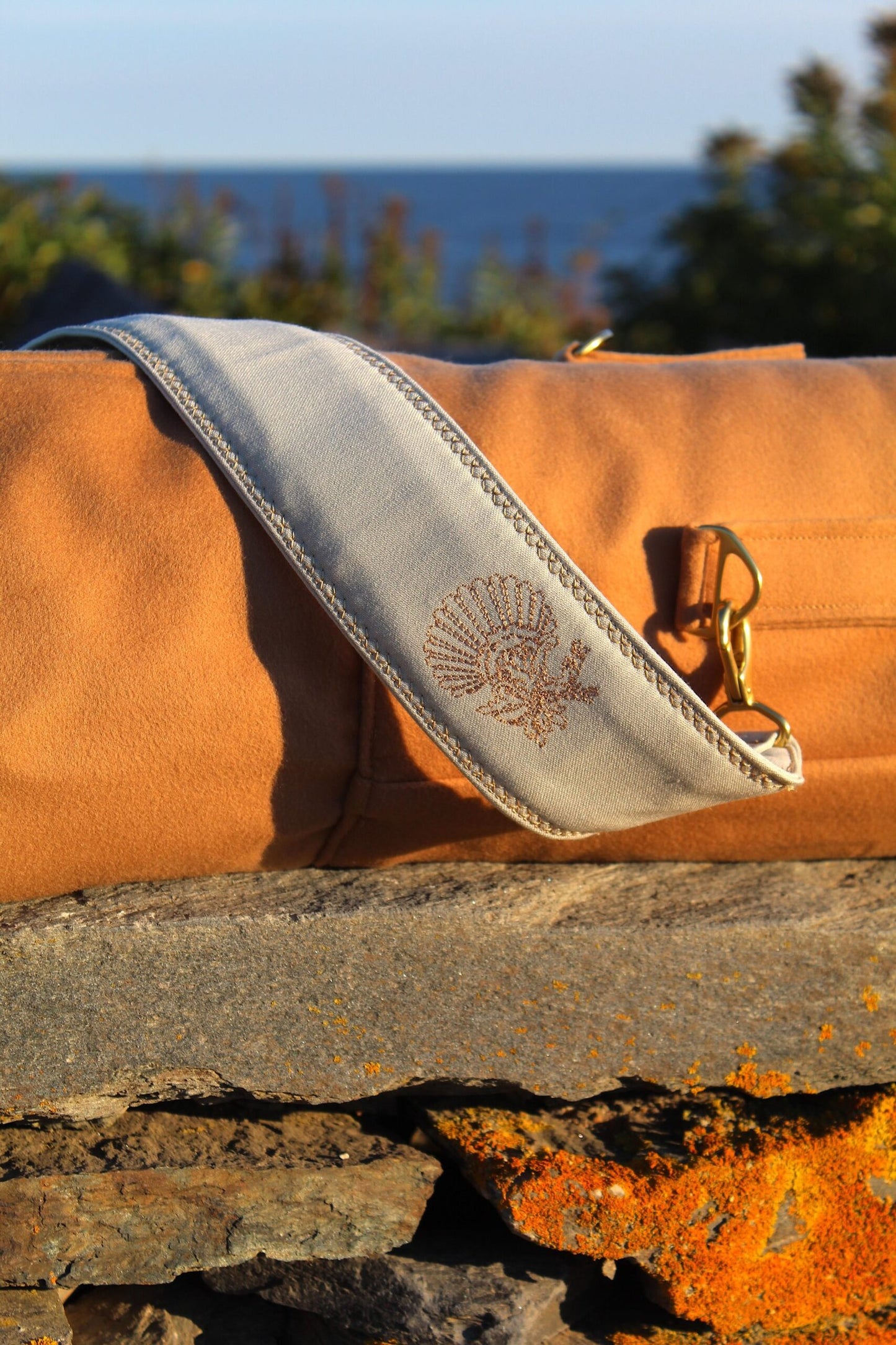 Dumuzi — Camel image 4